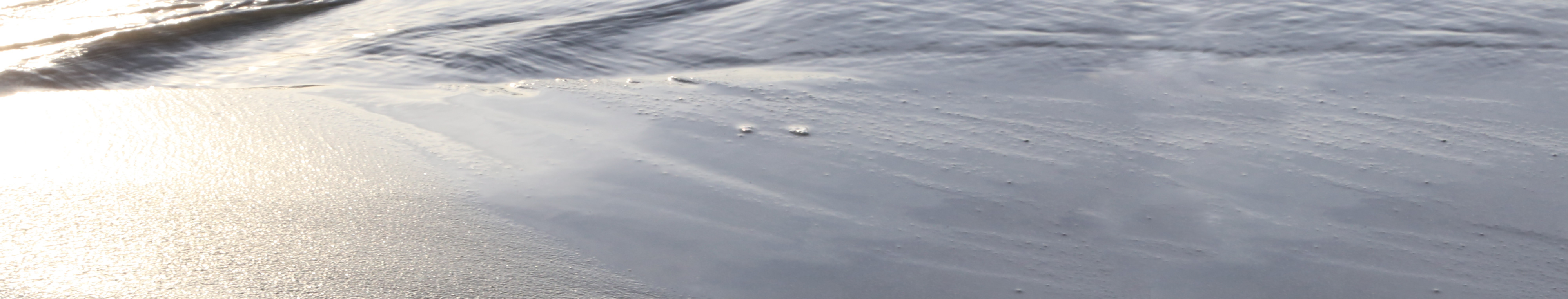 メインイメージ